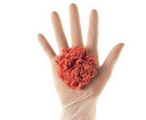 Fake meat: hand holding meat