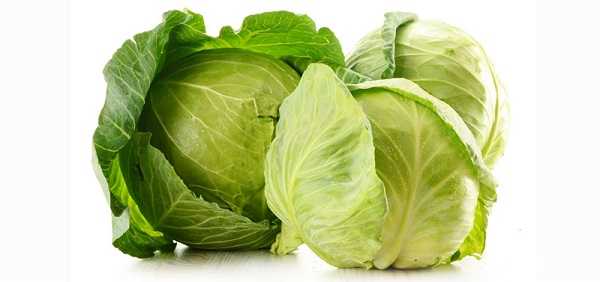 Kupus – spas za zimu