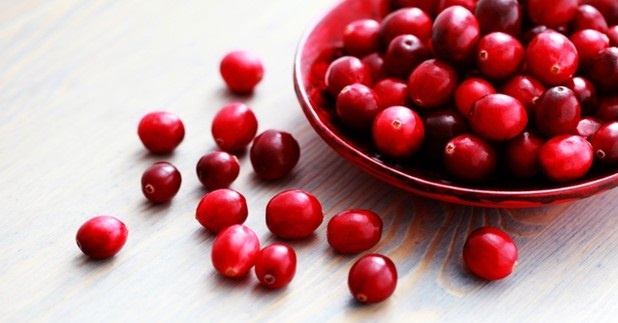 Ta čudesna brusnica