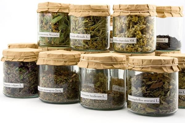 Koje su to najvažnije lekovite biljke zimi?