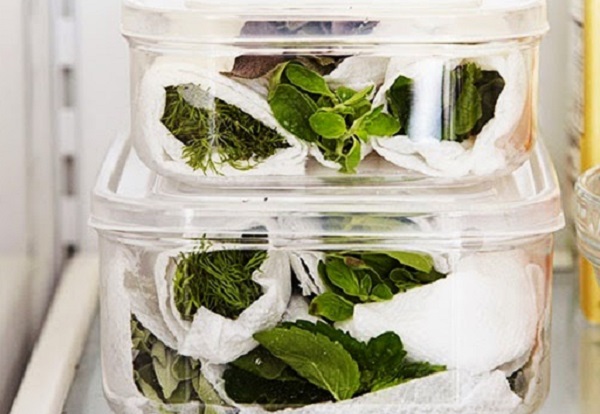 Kako očuvati začinsko bilje svežim duže vremena?