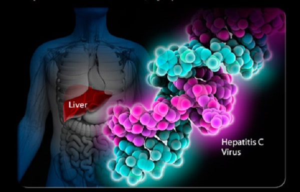 hepatitis c4