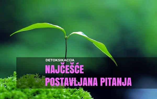 Detoksikacija – najčešće postavljana pitanja