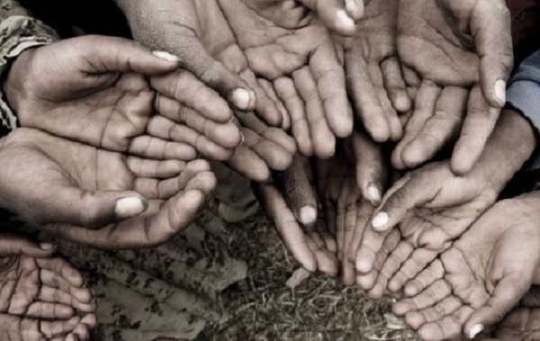 Sirova biljna hrana-planeta bez gladi