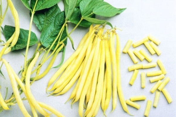 Boranija za regulaciju šećera u krvi, protiv gihta