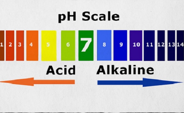 Testirajte se da li vam je organizam kiseo?