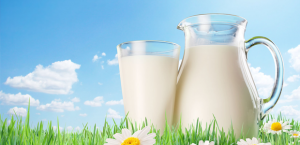 mleko-pod-lupom-620x300