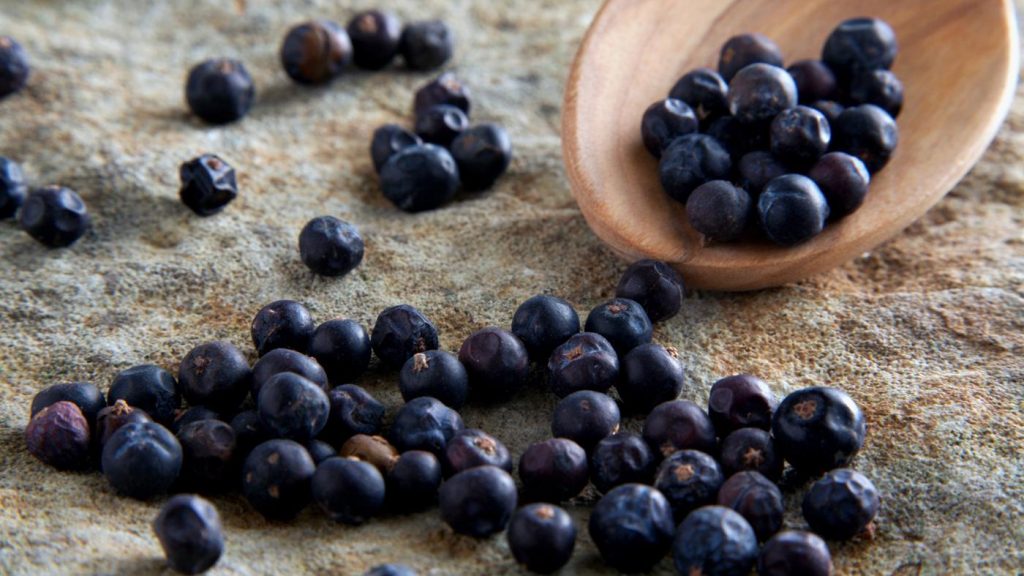 substitute-juniper-berries_5628db0bdd988289