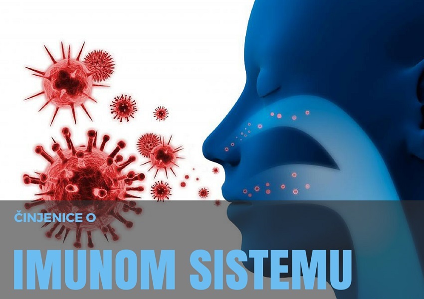 imuni sistem