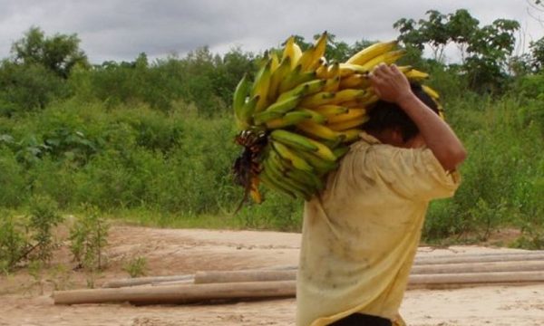 Najzdravija srca i koronarni sistem imaju…