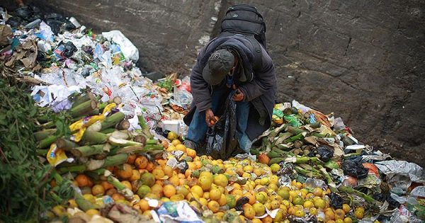 Petina svetske hrane se baci